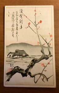 FF-3899 ■送料無料■ 梅 日の丸 民家 絵 絵画 風景画 美術品 田沢切手 消印 長野県 景色 レトロ エンタイア 絵葉書 写真 古写真/くNAら