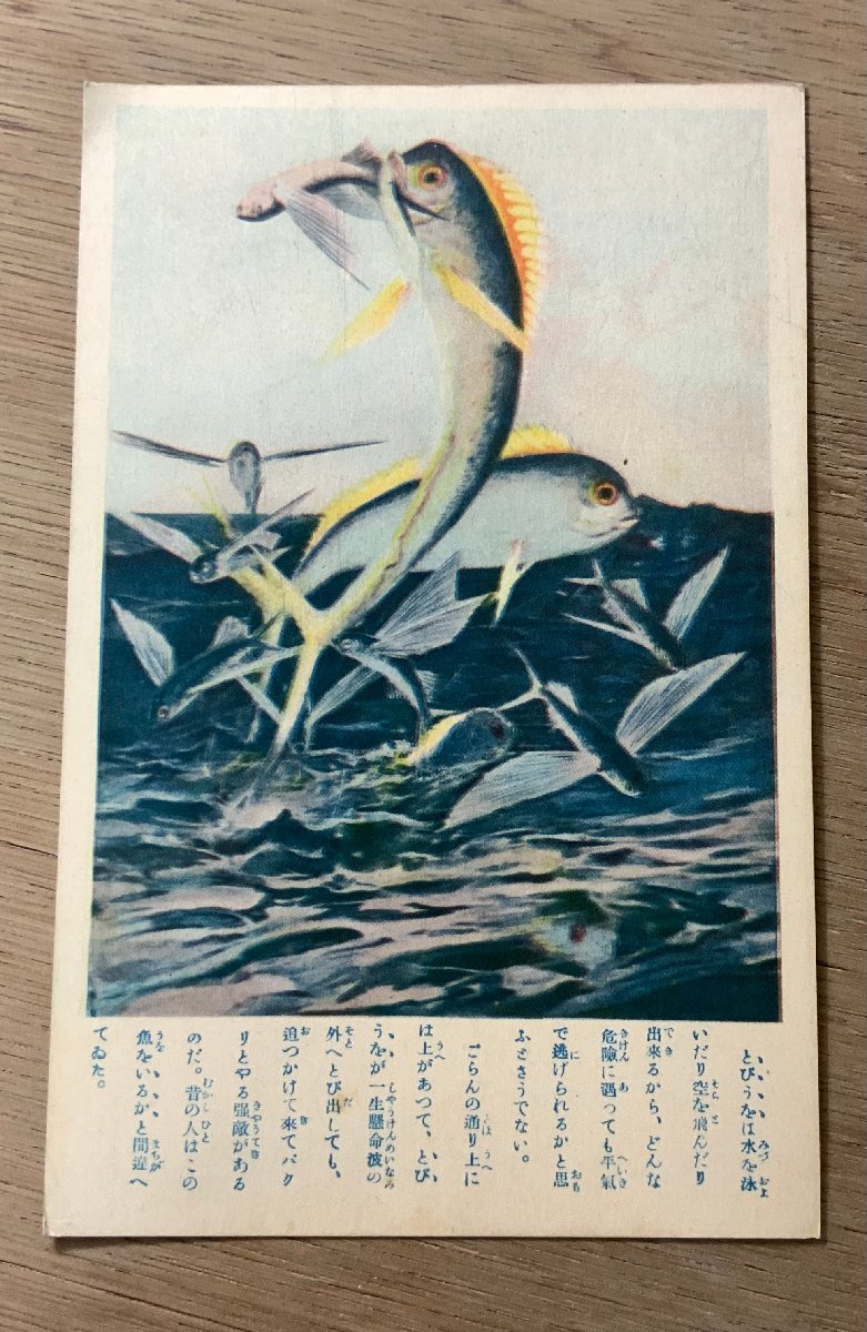 FF-4045 ■Free Shipping■ Flying Fish Boys' Club Fish Picture Painting Artwork Illustration Story Retro Postcard Entire Photo Old Photo/KNAra, printed matter, postcard, Postcard, others