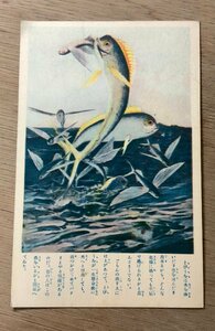 Art hand Auction FF-4045 ■ Livraison gratuite ■ Flying Fish Shonen Club Fish Photo Peinture Illustration Histoire Rétro Carte postale Photo entière Vieille photo / Kunara, Documents imprimés, Carte postale, Carte postale, autres