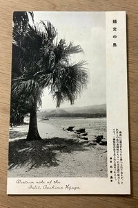 FF-3780 ■送料無料■ 宮崎県 日向 青島 龍宮の島 橋 風景 景色 名所 レトロ 絵葉書 エンタイア 写真 古写真/くNAら