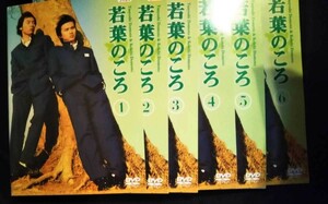 若葉のころ DVD全6巻　 堂本剛　堂本光一　根津甚八、奥菜恵、北浦共笑　原日出子　宅麻伸