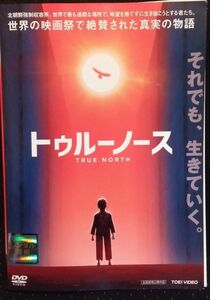 トゥルーノース　DVD　ジョエル・サットン マイケル・ササキ ブランディン・ステニス エミリー・ヘレス　北朝鮮強制収容所