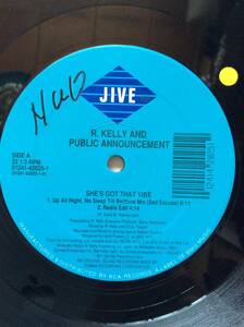 R.KELLY AND PUBLIC ANNOUNCEMENT/SHE'S GOT THAT VIBE/名曲名盤/HIPHOP/ヒップホップクラシック/NewJack Swingニュージャックスウィング