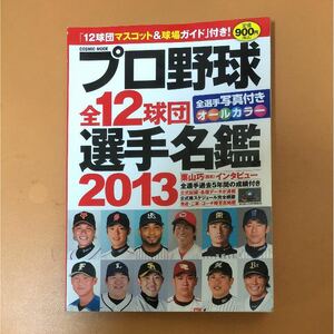 メ429 12球団選手名鑑 マスコット&球場ガイド付き! 2013