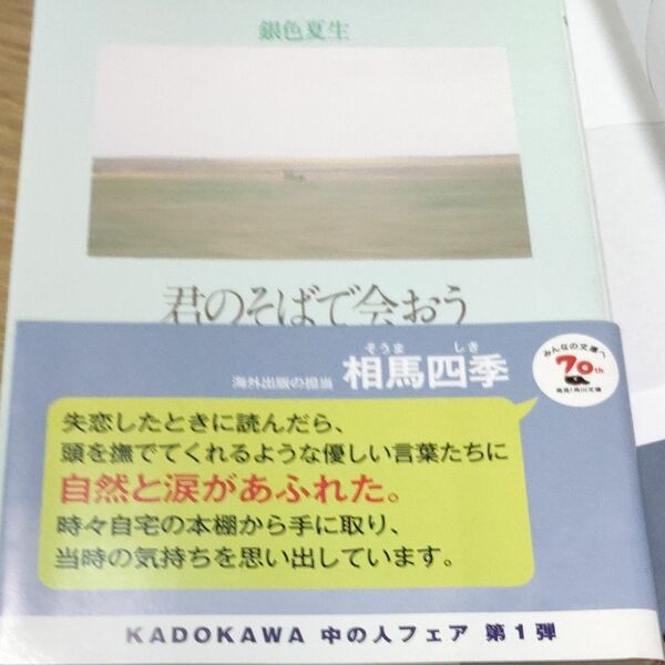 君のそばで会おう （角川文庫） 銀色夏生／〔著〕木漏れ日に泳ぐ魚　他　３冊セット