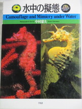 ■水中の擬態　Camouflage and Mimicry under Water　中村 庸夫_画像1