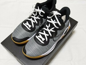 NIKE ナイキ　KD TREY 5 IX HO22　バスケットボール　28.5cm