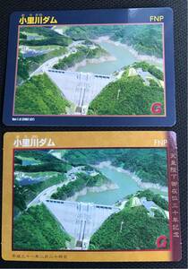 ★限定 ダムカード 小里川ダム 天皇陛下御在位30年記念 2枚セット レア 岐阜 最新 セット ペア 2019 天皇 記念 カード S1