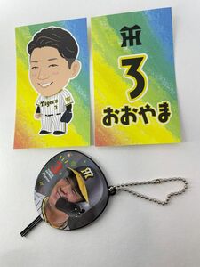 aim様専用！阪神タイガース『大山悠輔・佐藤輝明・西純矢・北條史也・青柳晃洋・浜地真澄・高橋遥人』甲子園シークレット9セット