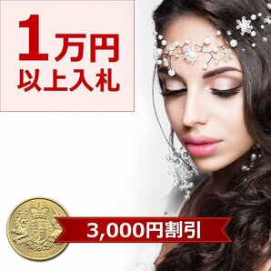 【1円新品】イケゾエガレ｜ 3.00ct 超IF等級 天然ピジョンブラッドルビー ダイヤモンド K14WG仕上リング 14号｜作家モノ｜本物保証｜NGLの画像2