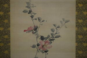Art hand Auction 【真作】/松堂/花画賛/布袋屋掛軸HE-724, 絵画, 日本画, 花鳥, 鳥獣
