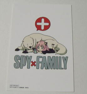 SPY×FAMILY スパイファミリー 非売品 イラストカード（ポストカード）アーニャ ボンド 遠藤達哉