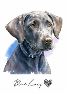 ポストカード【 Blue Lacy / ブルー・レーシー 】イラスト アート 水彩画風 パステルカラー はがき -1