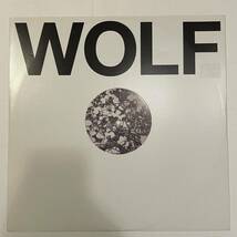 【12inch レコード】Homework 「Conquered Enemies」　※ レーベル:Wolf Music Recordings WOLFEP027 ※2014年リリース_画像1