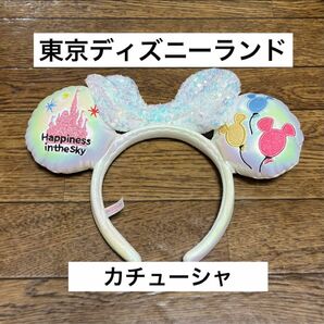 ディズニーランド　カチューシャ