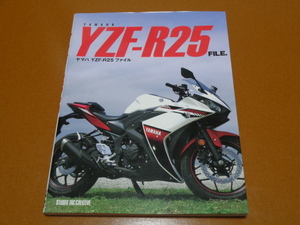 YZF-R25、メンテナンス、整備、カスタム、チューニング、レーサー、レーシング。YZF-R3、MT-25、ヤマハ