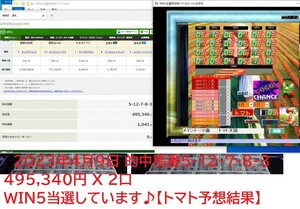 初夏の新作　[WIN5当選探知機トマト2023]　のご案内です