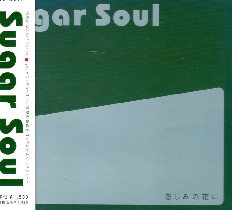 Sugar Soul Feat. Kenji – Garden・12