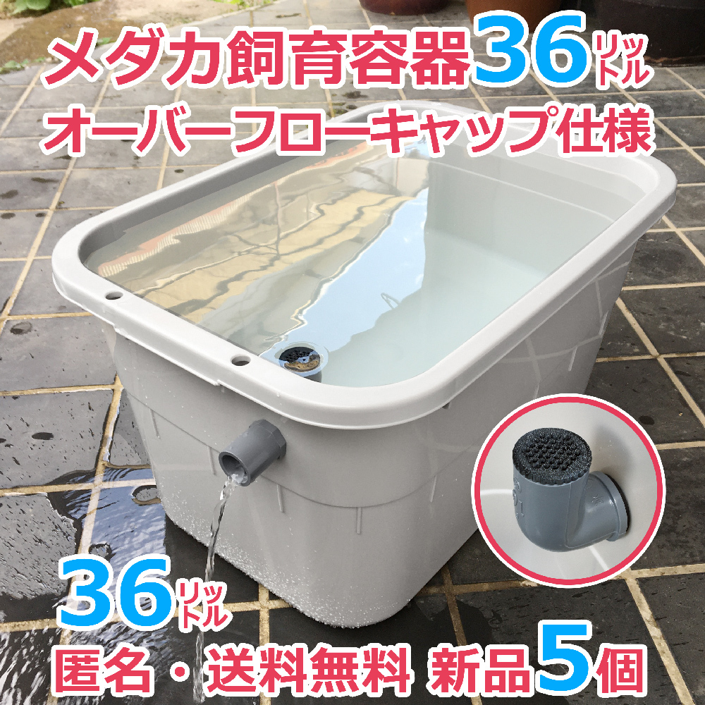 メダカ飼育容器【35㍑ 黒 1個 オーバーフローキャップ付】即決・匿名