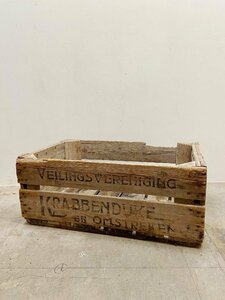 オランダ ヴィンテージ 木箱 50’s インテリア 収納 ディスプレイ キャンプ エクステリア ガーデニング 店舗什器【9299】