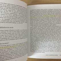 【仏語洋書】フローベール『ブヴァールとペキュシェ』/ Stephanie Dord-Crousle（著）_画像3