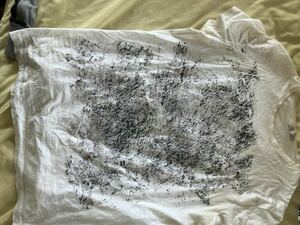 アレクサンダーマックイーン半袖白Tシャツサイズ44