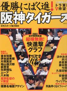 プロ野球ai増刊「優勝にばく進！阪神タイガース」★2003前半戦熱戦譜★星野監督/金本知憲/伊良部秀輝/片岡篤史/桧山進次郎/藪恵壱/矢野輝弘