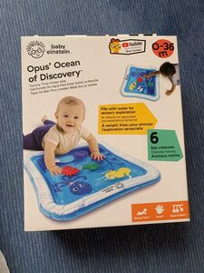 baby einstein ベビーアインシュタイン　ウォーターマット　知育玩具