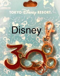 ディズニー　Disney Resort 30周年記念 カラビナ キーホルダー