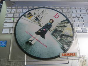 BONNIE PINK ボニーピンク / HEAVEN'S KITCHEN : LIE LIE LIE 限定ピクチャー7“ 