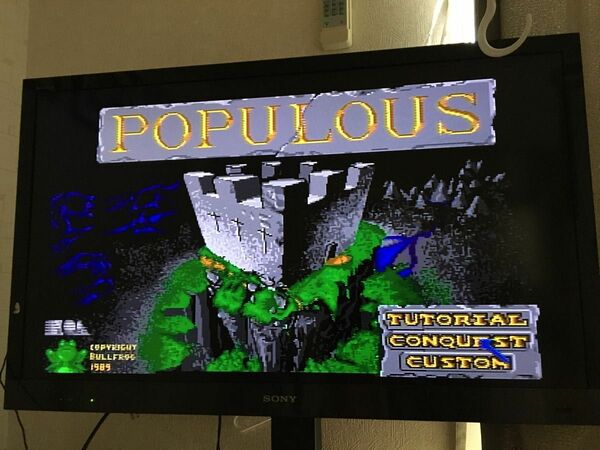 pcエンジン ポピュラス　5/2 動作確認　済みソフト　Huカード　レア　貴重　populous ケース、説明書あり