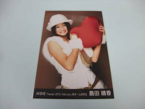 AKB48 生写真 島田晴香 Theater 2010.February 新チーム研究生 まとめて取引 同梱発送可能