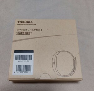  Toshiba action amount total regular price Y13500