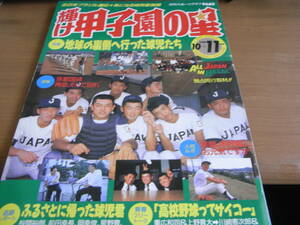 輝け甲子園の星1988年10+11月号 京都国体・全日本ブラジル遠征　高校野球