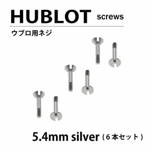 HUBLOT ウブロ 用 ネジ 5.4mm 6本セット ベゼル 時計部品 時計ネジ 腕時計