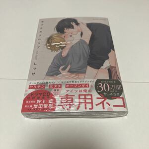 ＢＬ　４０２２　セックスドロップ…しっけ（ペーパー）シュリンク付き未読