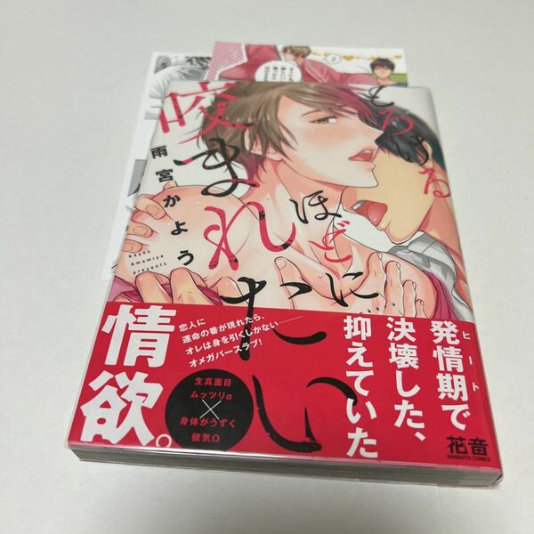 ＢＬ★１１　イラストサイン本　とろけるほどに咬まれたい…雨宮かよう（カード、ペーパー）