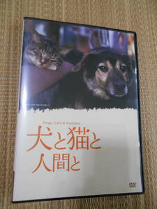 ☆ＤＶＤ　犬と猫と人間と