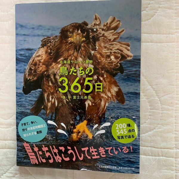 鳥たちの365日