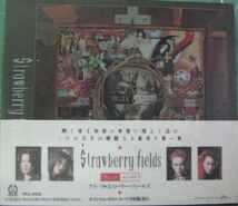 ＊中古CD Strawberry Fieldsストロベリー・フィールズ/ALIBI 1992年作品2nd スリーヴケース+ポストカード5枚組付き D'ERLANGER Justy-Nasty_画像1