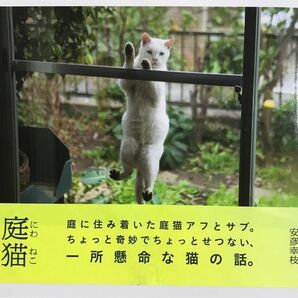 庭猫/安彦幸枝　写真集　猫本