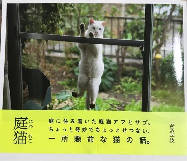 庭猫/安彦幸枝　写真集　猫本
