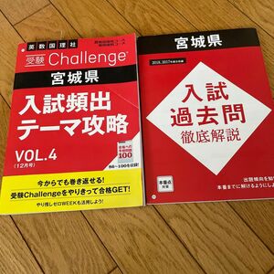 進研ゼミ　入試頻出テーマ攻略　VOL.4 入試過去問徹底解説　今だけ値下げ！