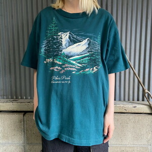 USA製 90年代 シングルステッチ 風景画 スーベニア アートプリント Tシャツ メンズXL