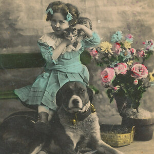 少女 (5) G41◆猫 ネコ ねこ 犬 子供 アンティークポストカード フランス ドイツ ベルギー イタリア イギリス ビンテージ 外国絵葉書 