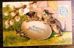 猫(11) Y15◆エンボス アンティークポストカード フランス ドイツ ベルギー イタリア イギリス ネコ ねこ ビンテージ 外国絵葉書