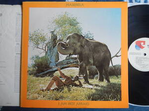 【LP】MASEKELA(BTS6015米国BLUE THUMB1974年I AM NOT AFRAIDチュニジアの夜)