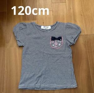 半袖Tシャツ 120cm