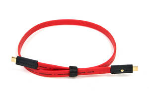 WIREWORLD Starlight 8 USB 3.1 audio cable - (TypeC - TypeC) (0.6 meter )[ week end special price ]