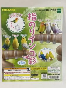 カプセルコレクション　指のりインコ彩　台紙